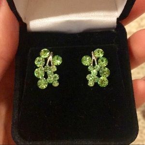 Show Stopping Green and Silver Earrings